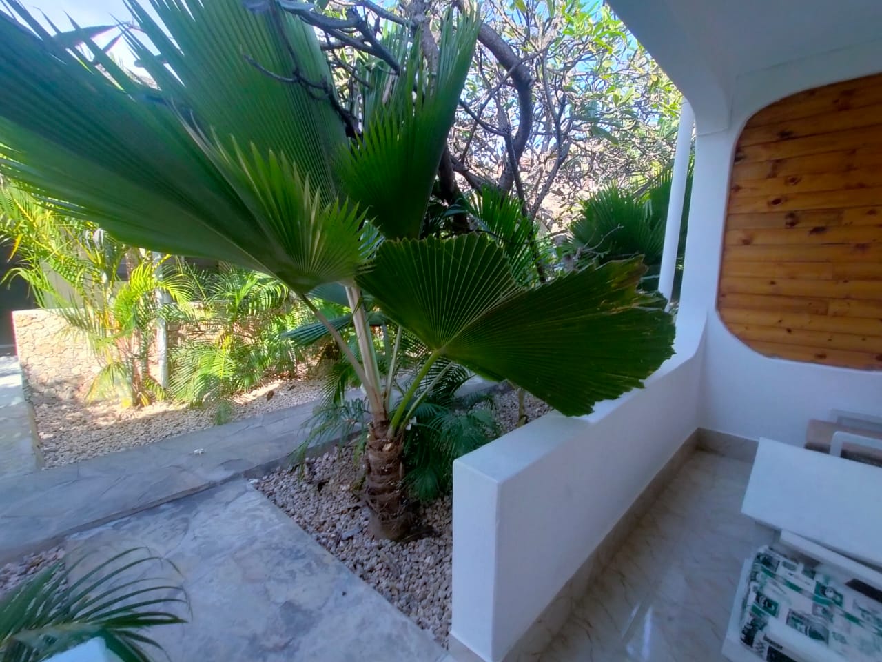 Arica Palm Hotel Gallery Image